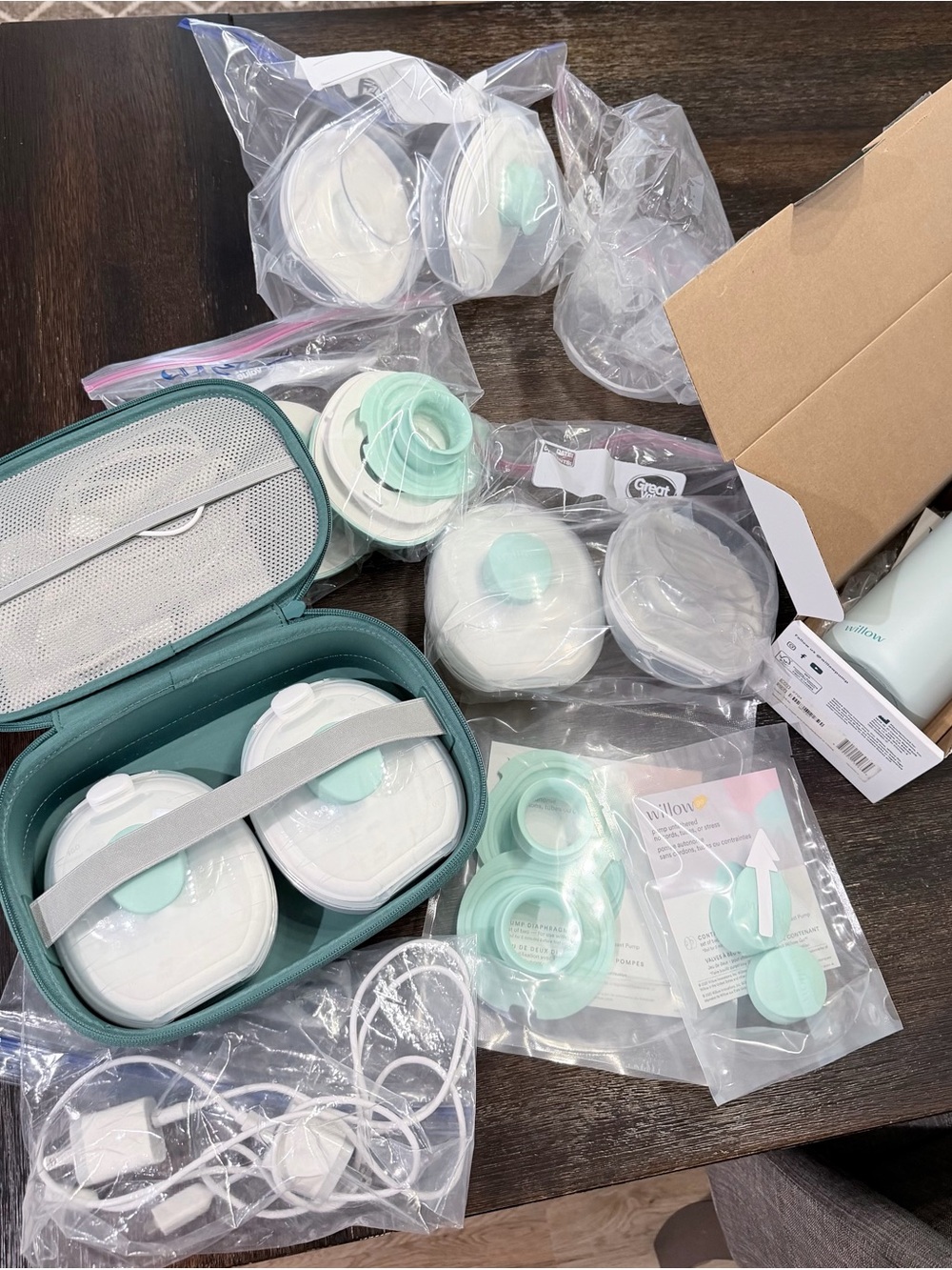 Willow Go Pumps with travel case and multiple accessories